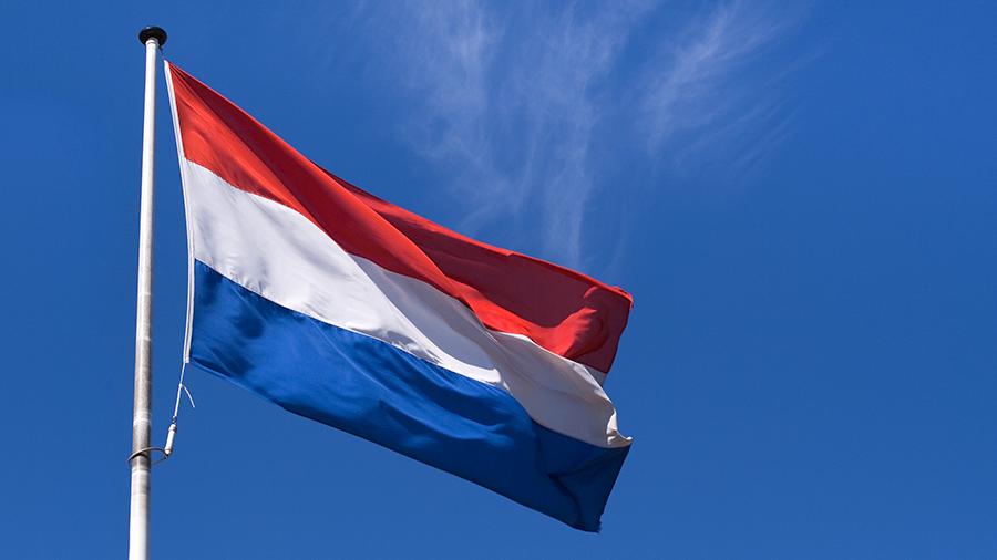 Госдума денонсировала налоговое соглашение с Нидерландами